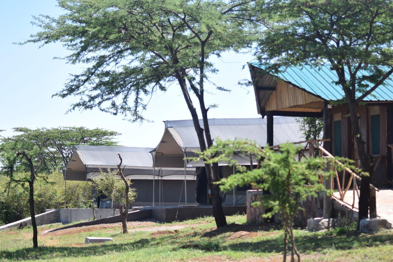 Bed and Breakfast Maasai Mara Safari Camp In Kenya Sekenani Екстер'єр фото