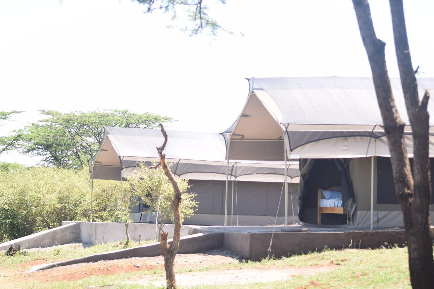 Bed and Breakfast Maasai Mara Safari Camp In Kenya Sekenani Екстер'єр фото