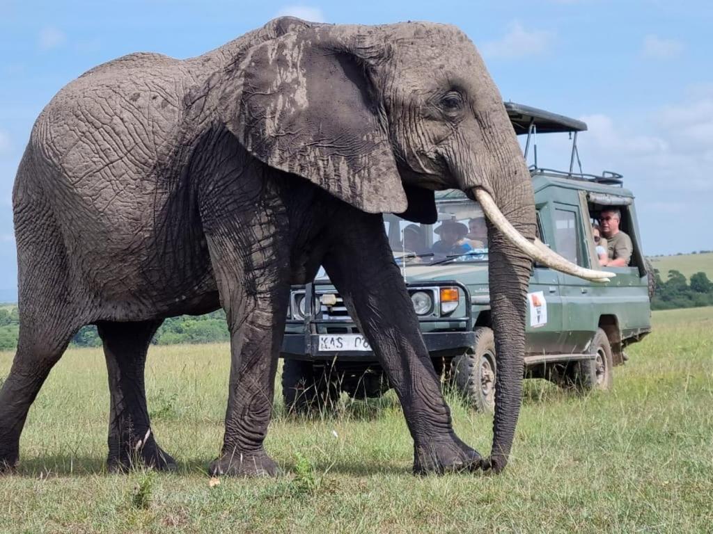 Bed and Breakfast Maasai Mara Safari Camp In Kenya Sekenani Екстер'єр фото